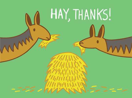 thank you card by Kaitlyn McCane