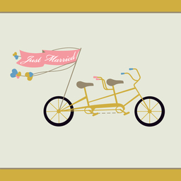 wedd-tandem bike