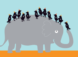 bday-elephant and birds