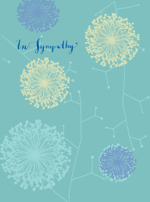 sympa-queen anne's lace