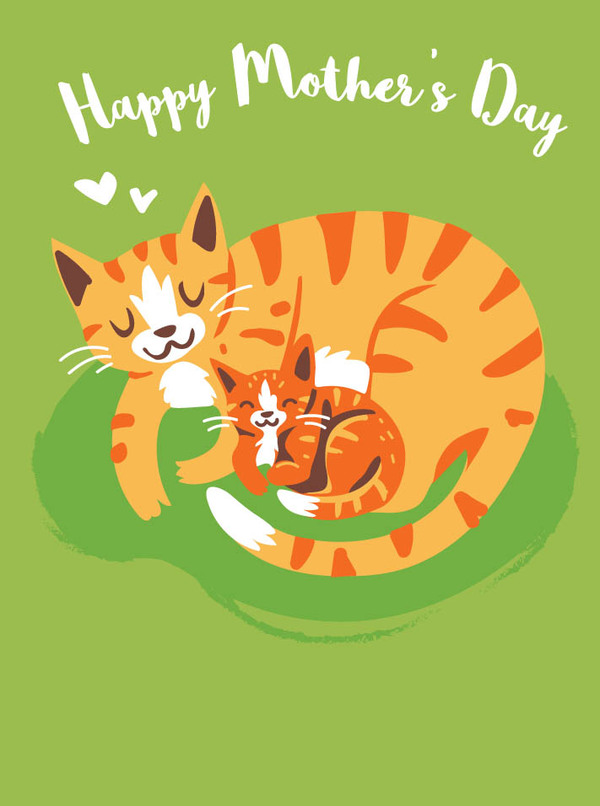 mothr-cat and kitten