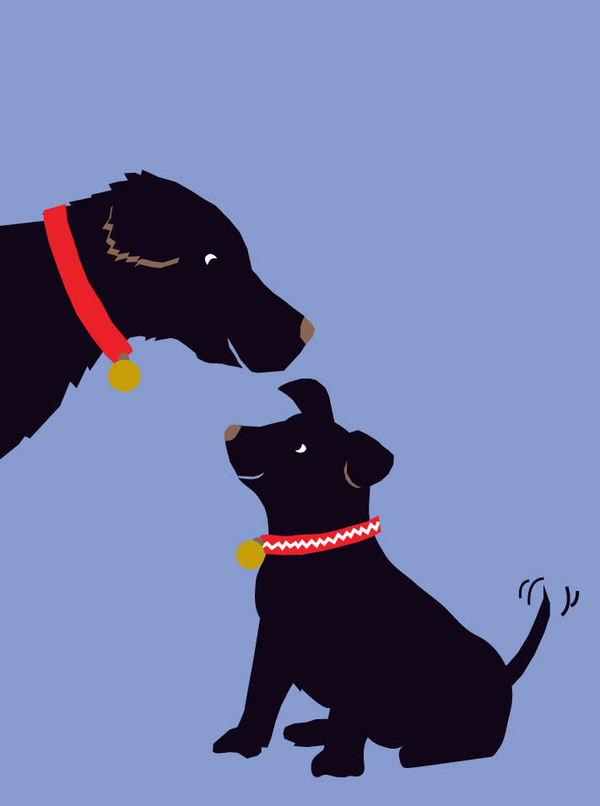 fathr-labs father and pup