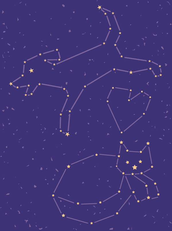 pet sym-constellations